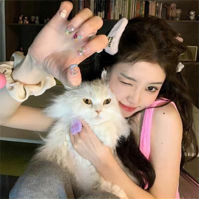 龙的新娘:龙之岛