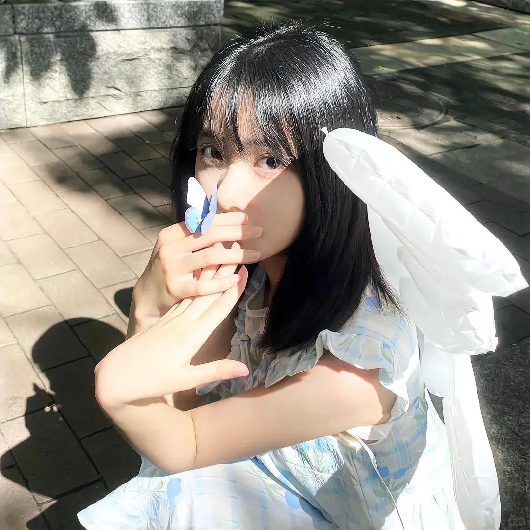 夏日之书2024